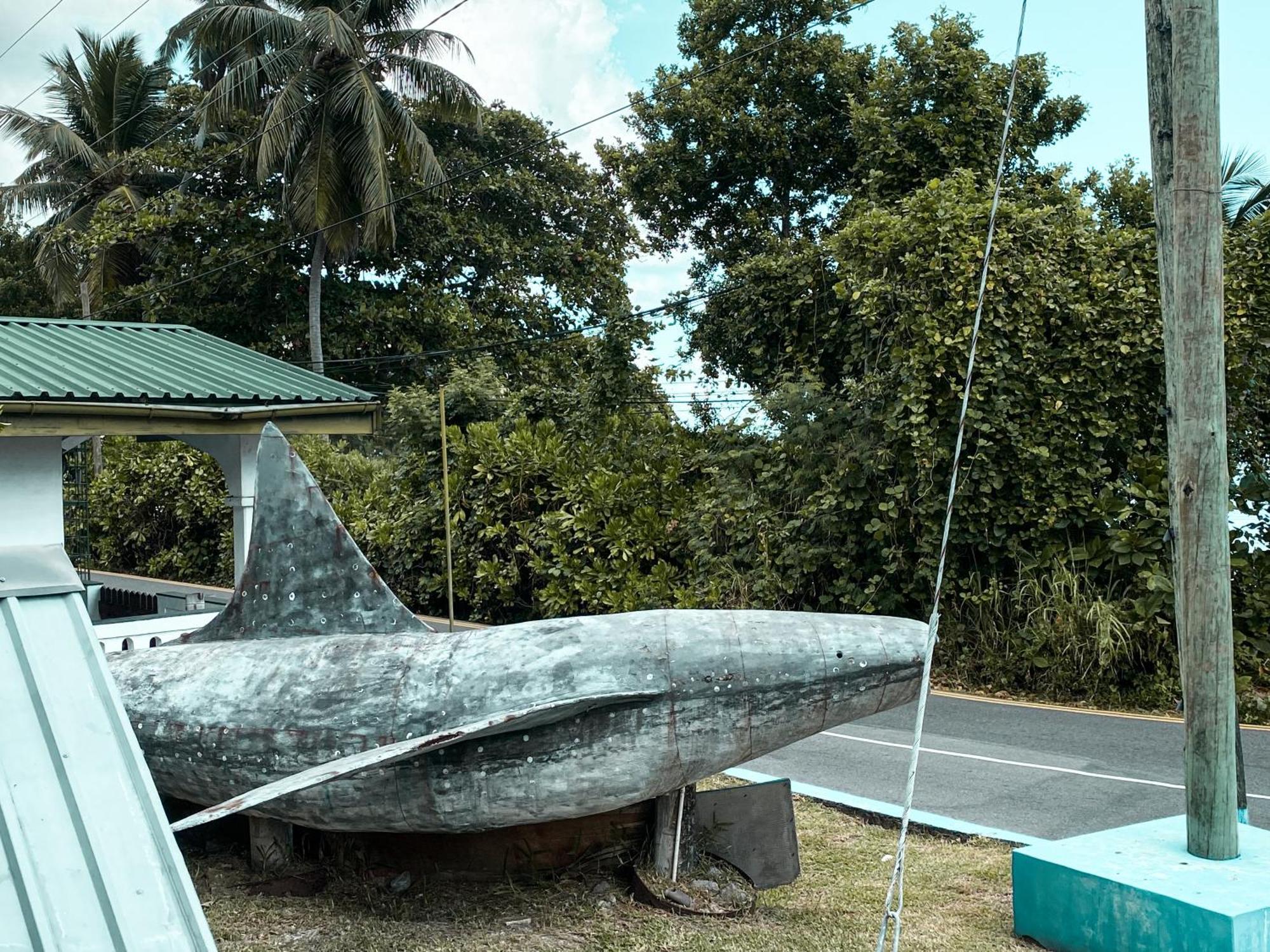 Divers alojamiento pensión Beau Vallon  Exterior foto