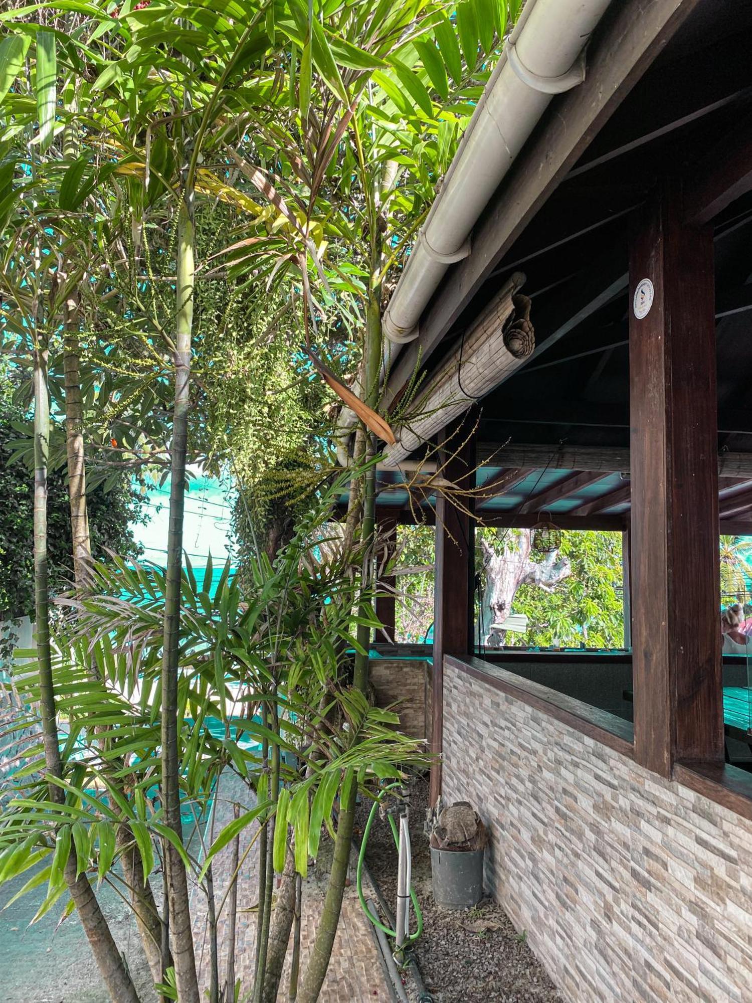 Divers alojamiento pensión Beau Vallon  Exterior foto